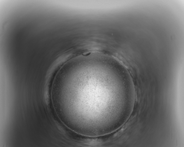 X0000089860245200707051138