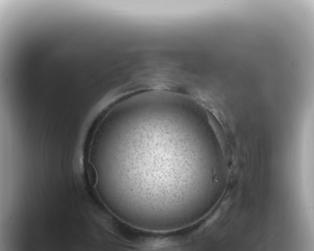 X0000089860246200707051138