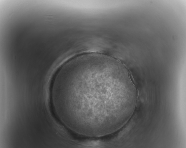 X0000089860247200707051138