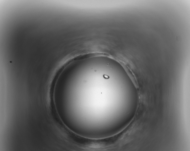 X0000089860248200707051138