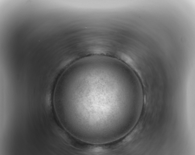 X0000089860249200707051138
