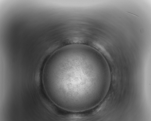 X0000089860250200707051138
