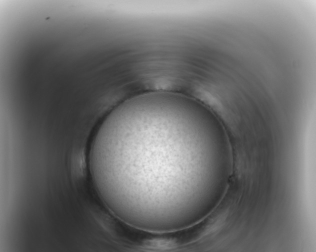 X0000089860251200707051138