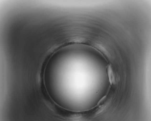 X0000089860252200707051138