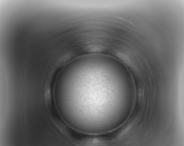 X0000089860254200707051138