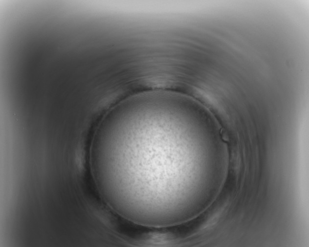 X0000089860255200707051138