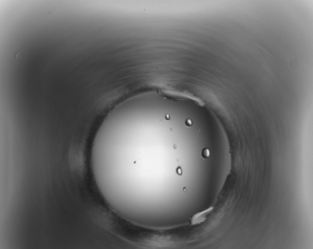 X0000089860256200707051138