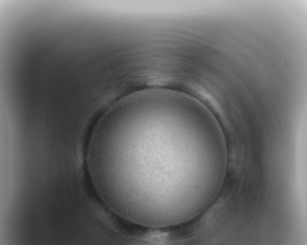 X0000089860257200707051138