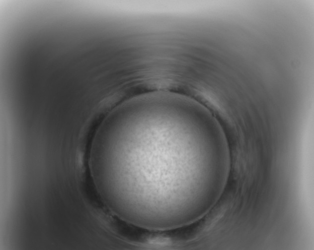 X0000089860258200707051138