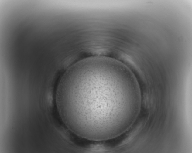 X0000089860259200707051138
