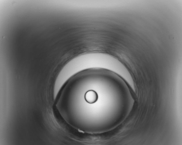 X0000089860260200707051138