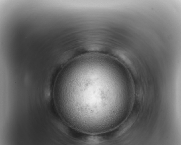 X0000089860261200707051138