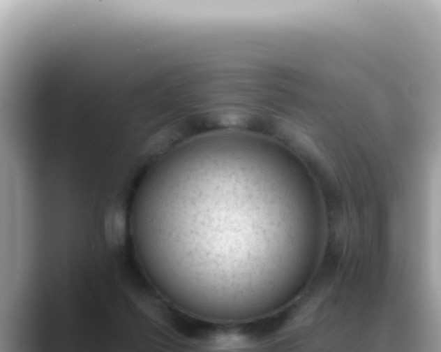 X0000089860262200707051138
