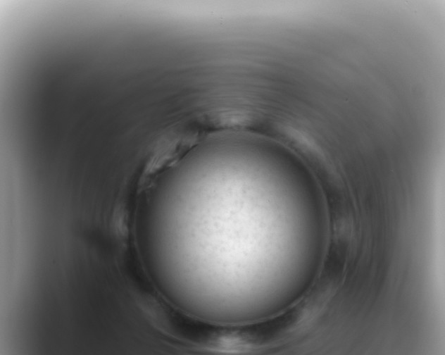 X0000089860264200707051138