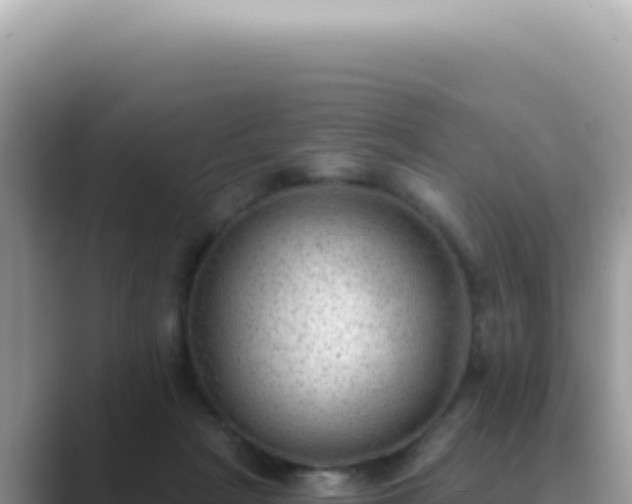X0000089860265200707051138