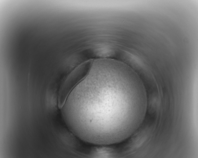 X0000089860268200707051138