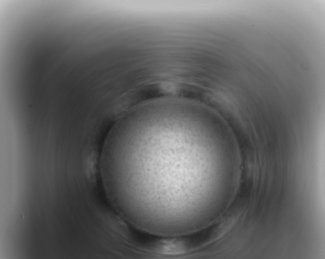 X0000089860275200707051139