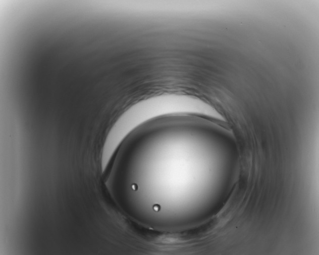 X0000089860280200707051139