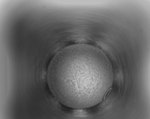 X0000089860281200707051139