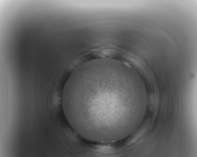 X0000089860284200707051139