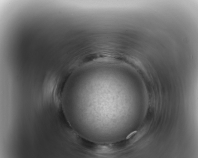 X0000089860285200707051139