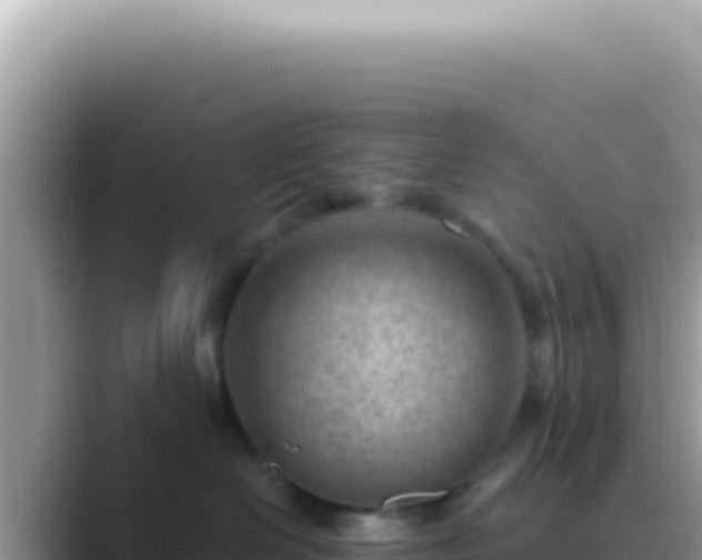 X0000089860286200707051139