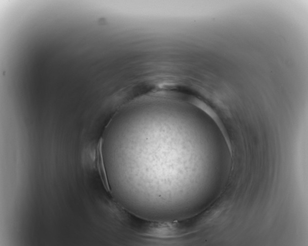 X0000089860288200707051139