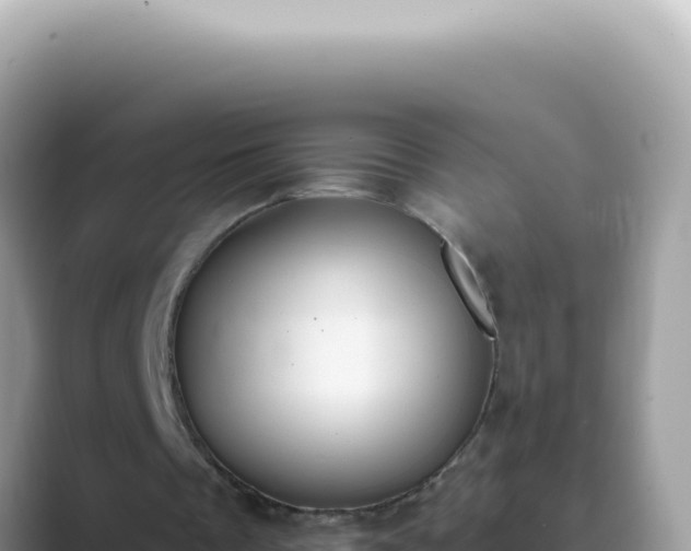 X0000089860289200707051138