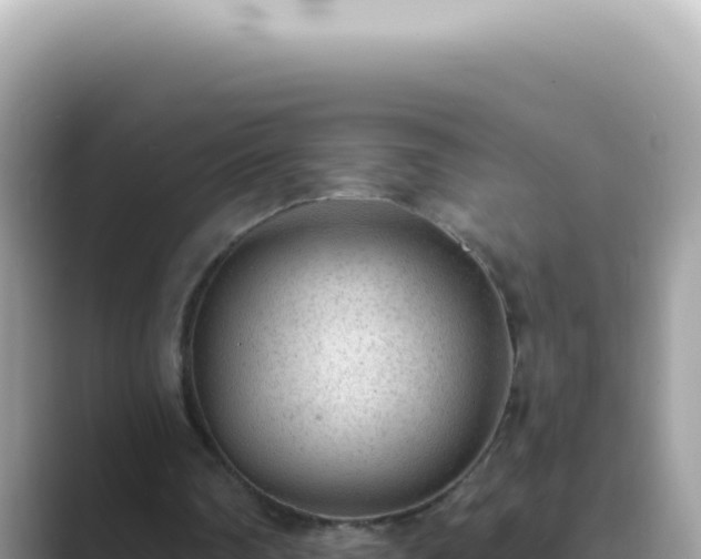 X0000089860290200707051138