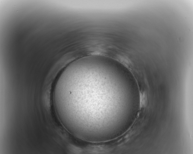 X0000089860291200707051138