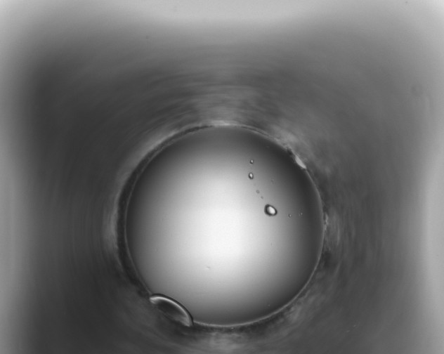 X0000089860292200707051138