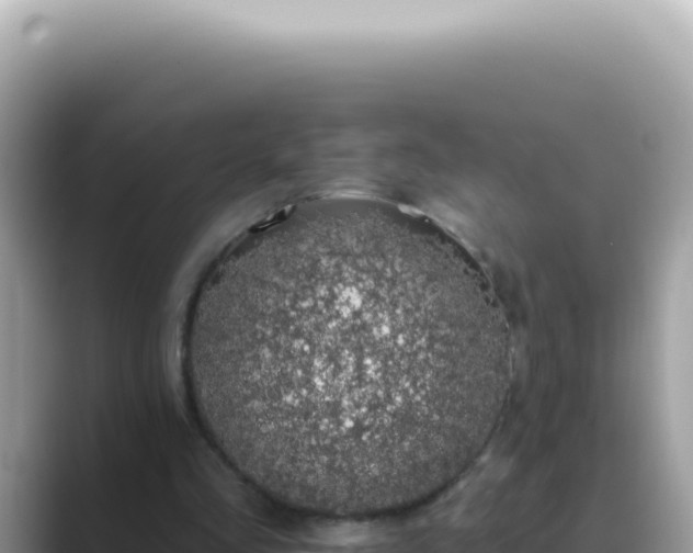 X0000089860293200707051138