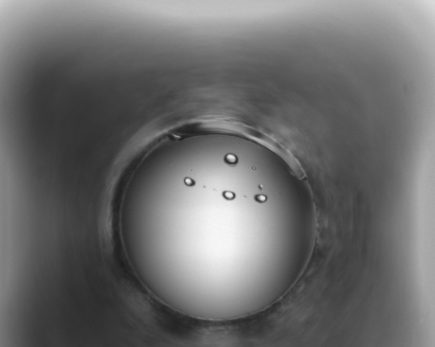 X0000089860296200707051138