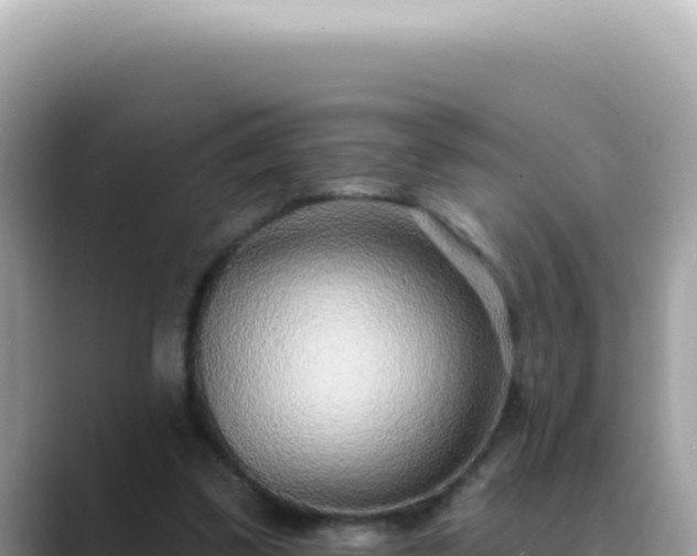 X0000089860299200707051138