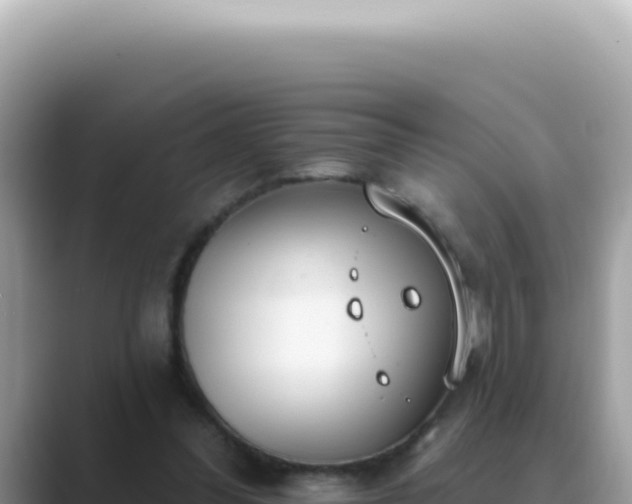 X0000089860300200707051138