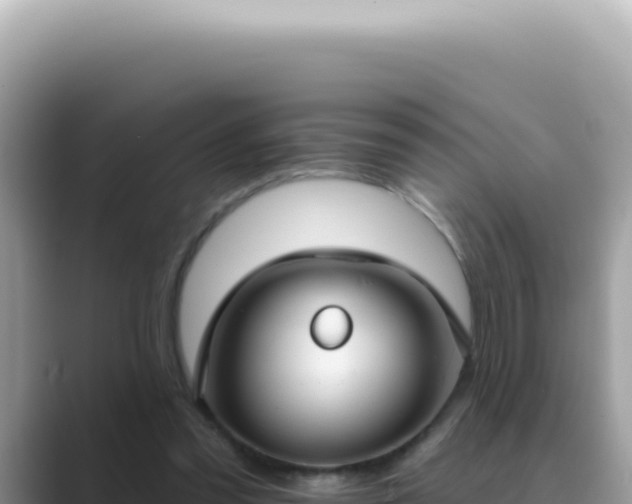 X0000089860301200707051138