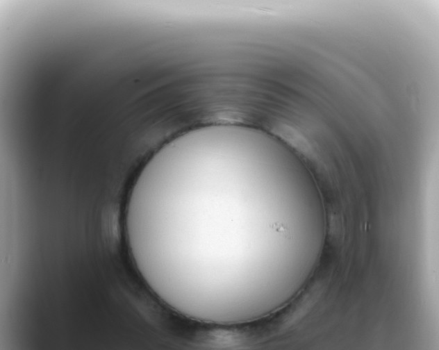 X0000089860302200707051138