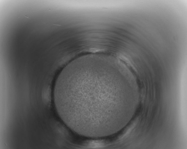 X0000089860303200707051138