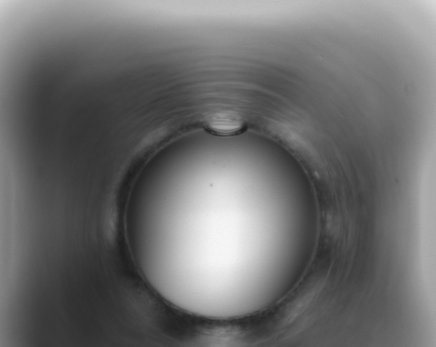 X0000089860304200707051138
