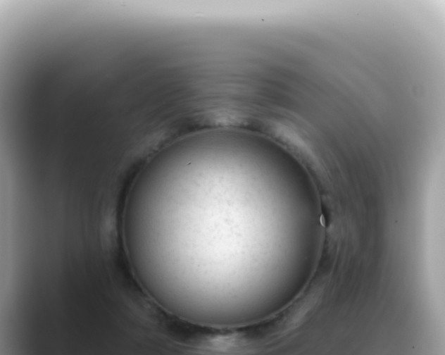 X0000089860306200707051138