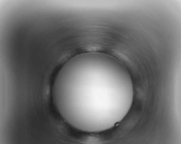 X0000089860308200707051138