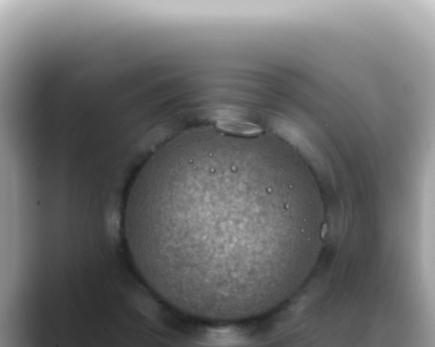 X0000089860309200707051138