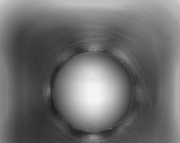 X0000089860310200707051138