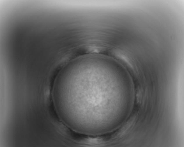 X0000089860314200707051138