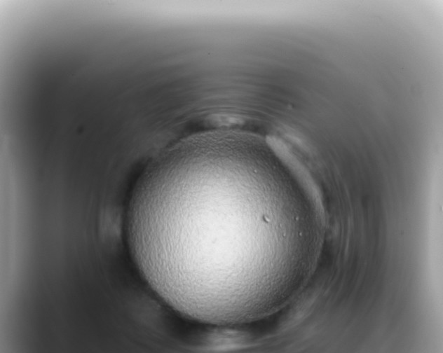 X0000089860315200707051138