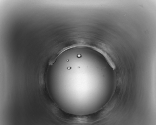 X0000089860317200707051138
