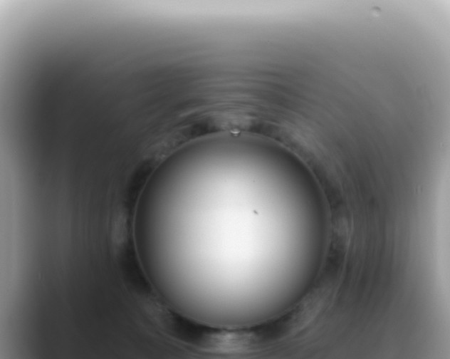 X0000089860323200707051138