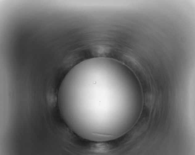 X0000089860324200707051138