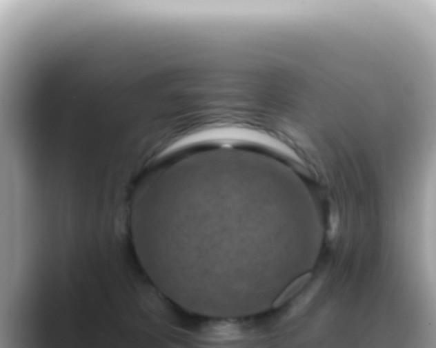 X0000089860325200707051138