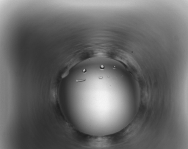 X0000089860329200707051138